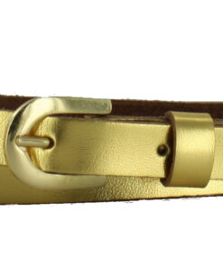 Goud 1.5 cm met gouden gesp